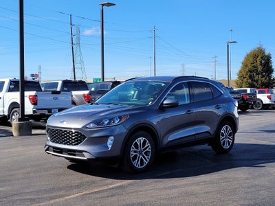 2021 Ford Escape Hybrid SEL