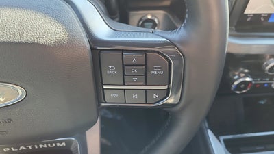 2025 Ford F-450SD Platinum DRW