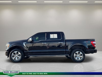 2023 Ford F-150 Platinum