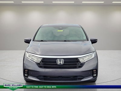 2024 Honda Odyssey Elite