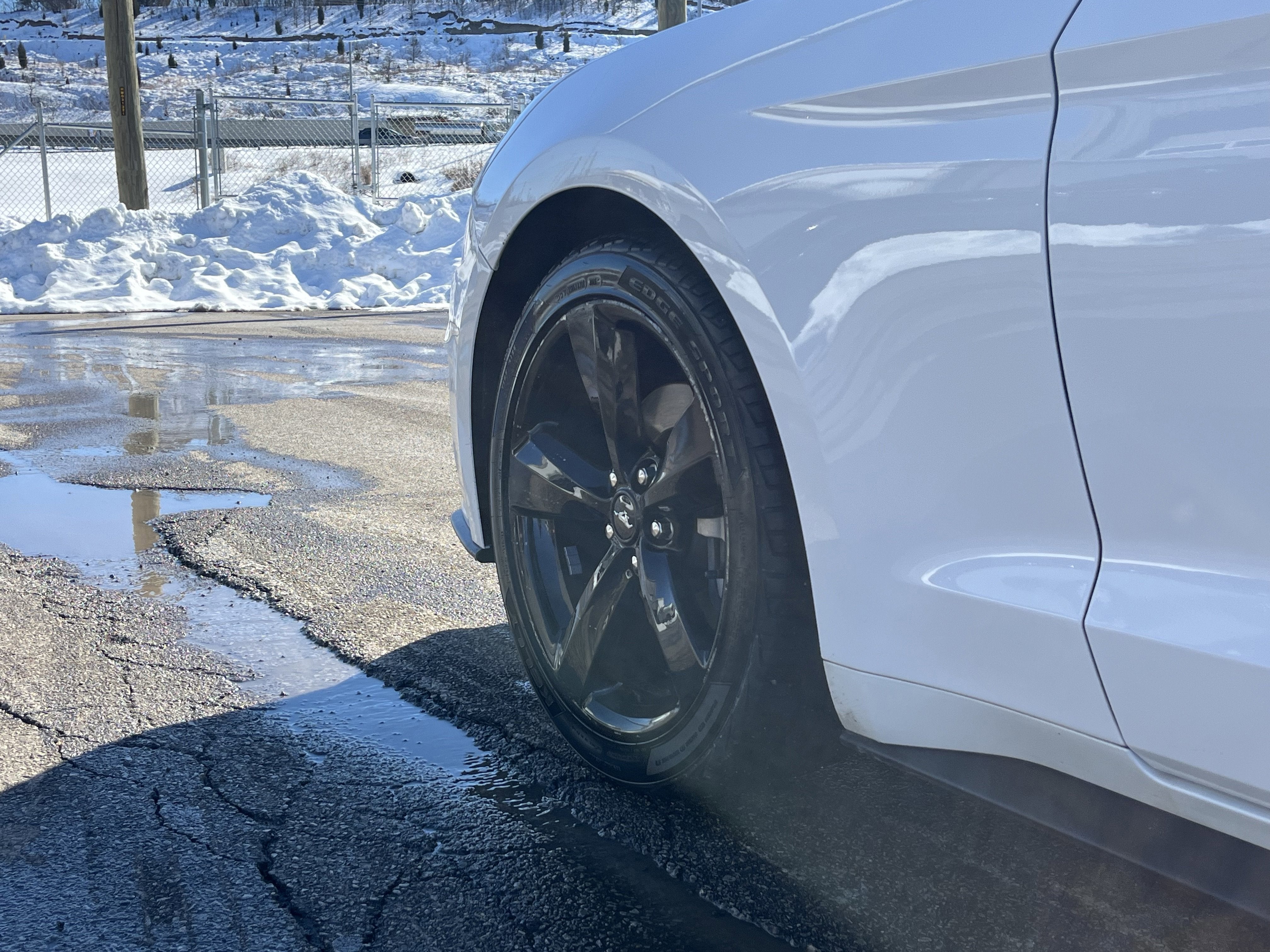 2023 Ford Mustang EcoBoost