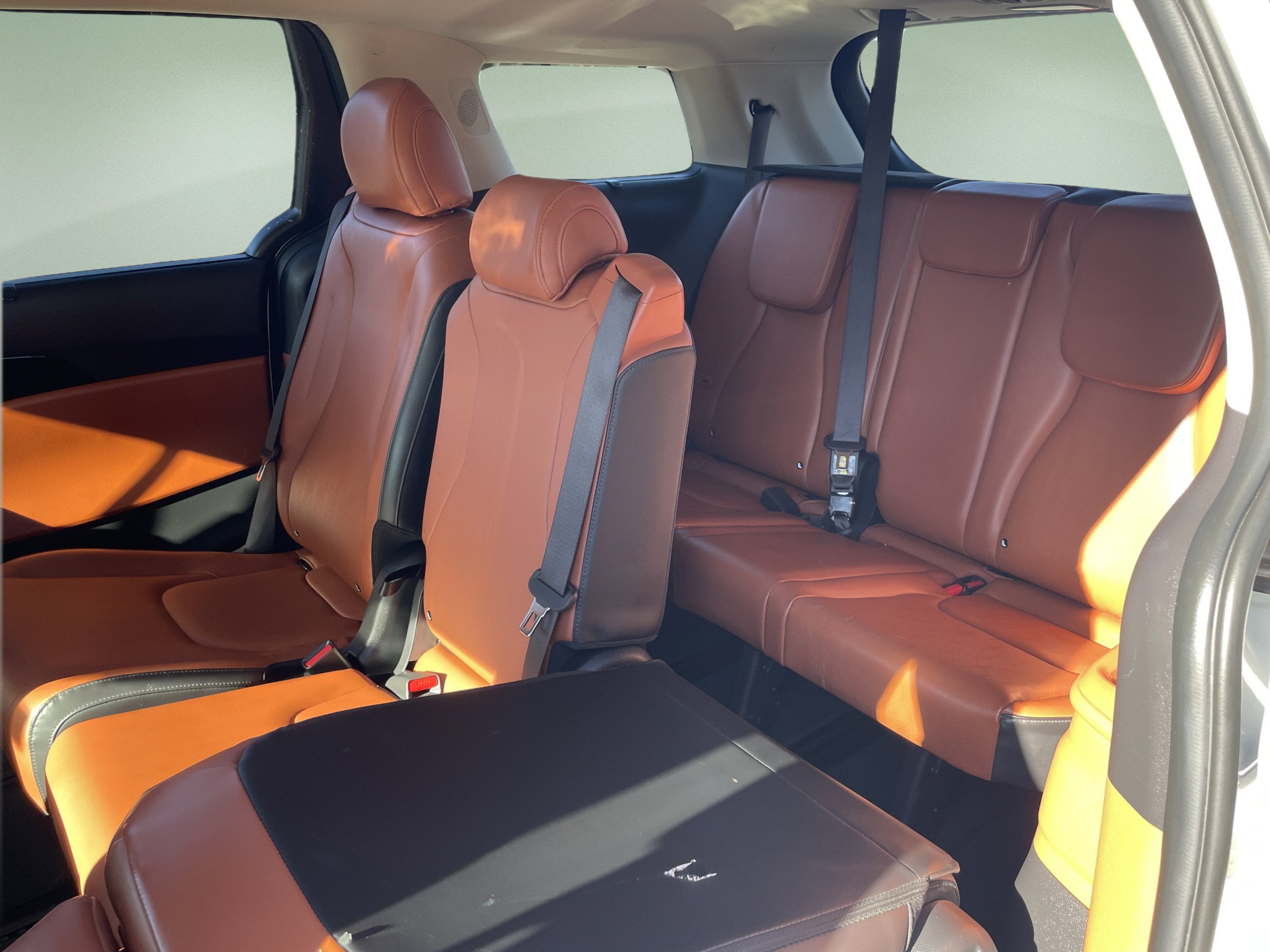 2024 Kia Carnival SX