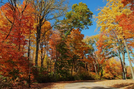 Fall yall 